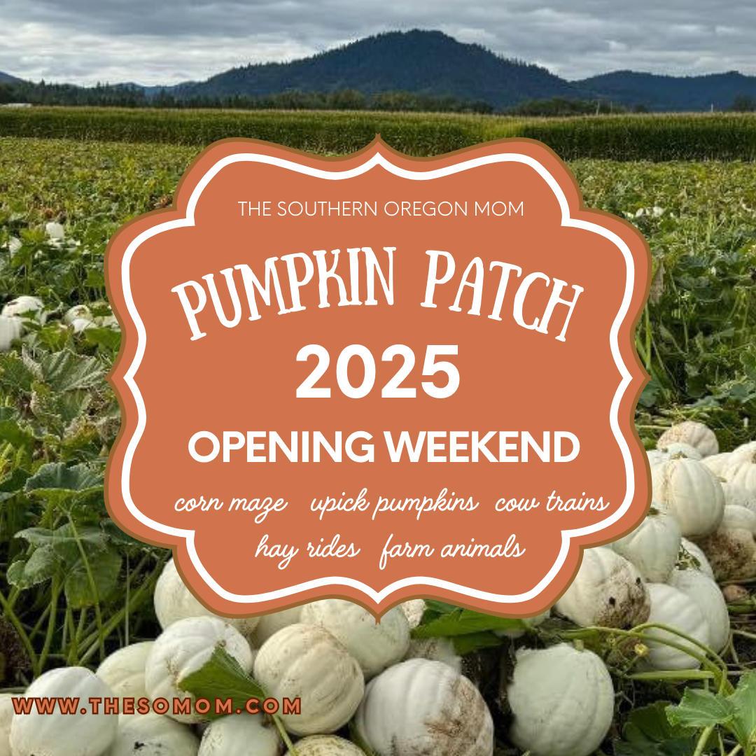 Pumpkin Patch Opening Weekend Update September 27, 2025