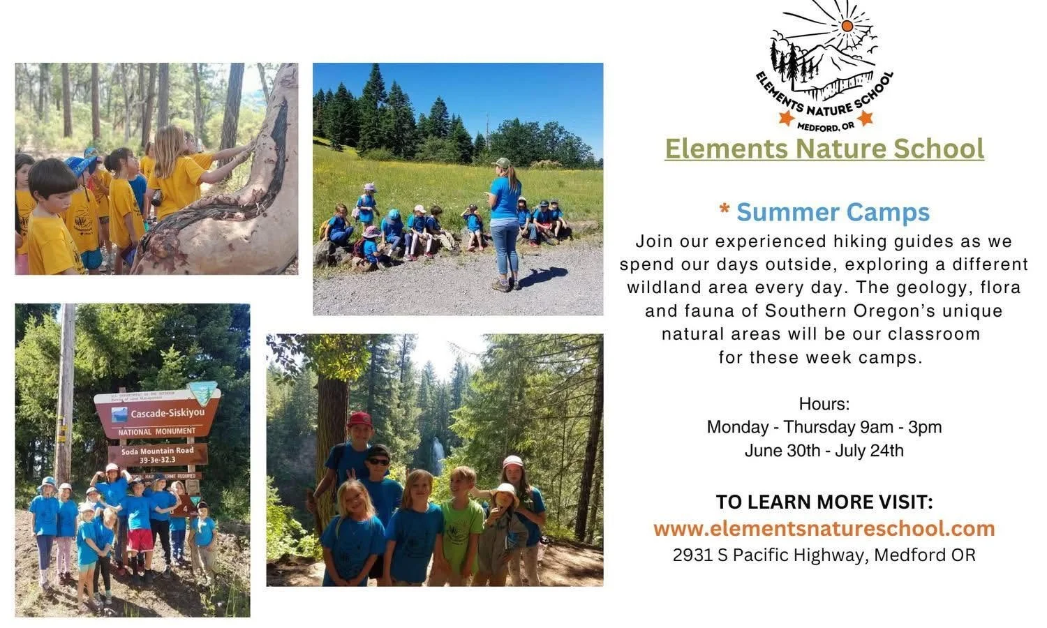 Nature Explorer Camps