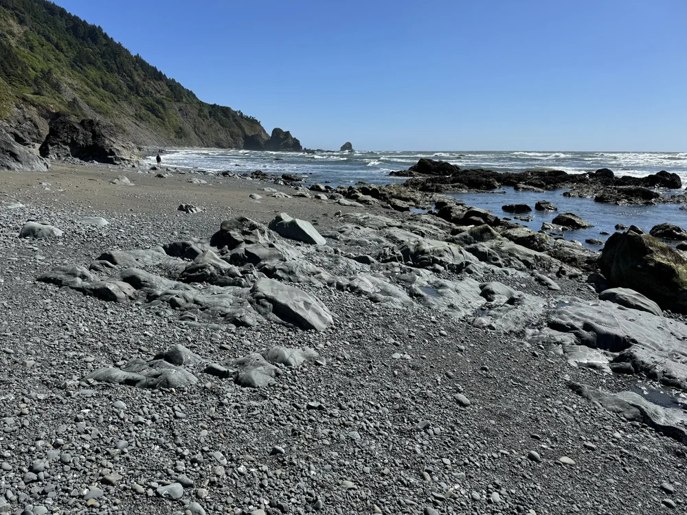 Best Tide Pools for Kids in Crescent City, CA