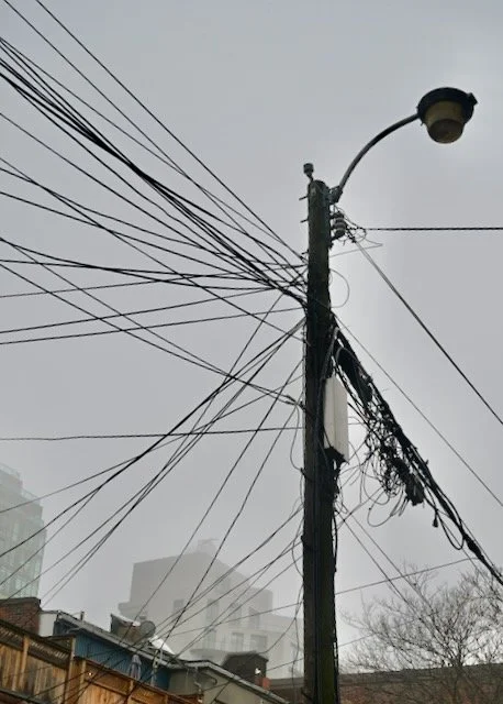 Meghan Pollock_Ideas for 5_Unexected Beauty_8.jpeg