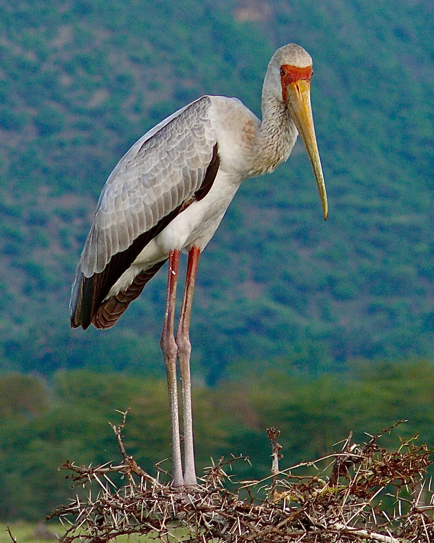 Office Pics 705.jpeg