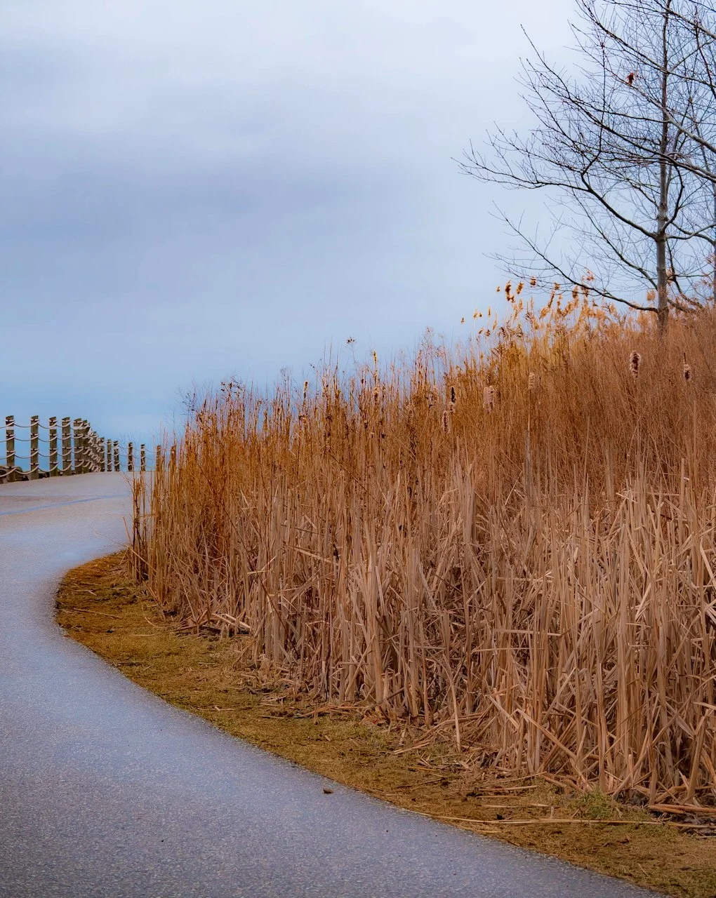 Revised Bridge-2.jpeg