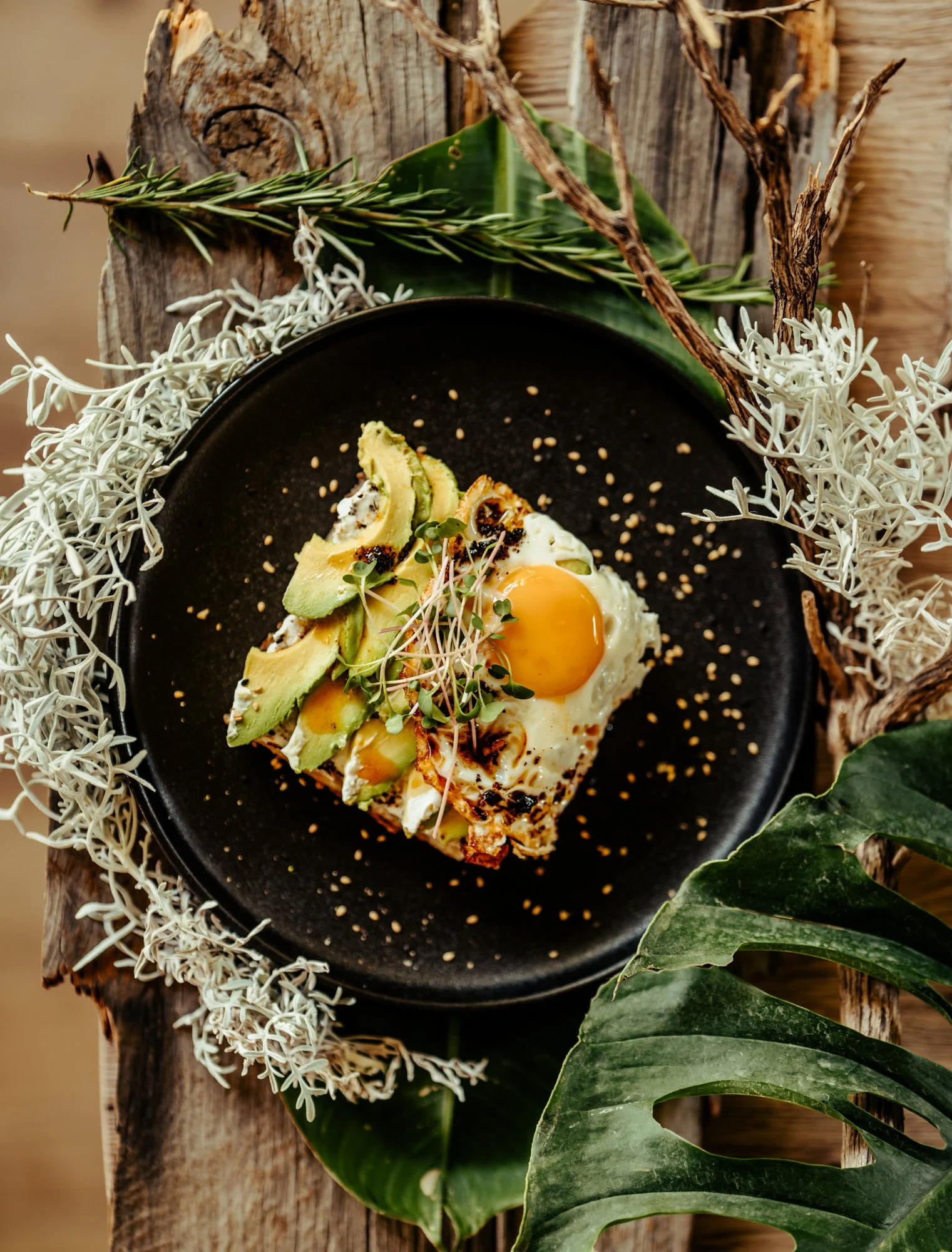 sony awards portraits-173.JPG