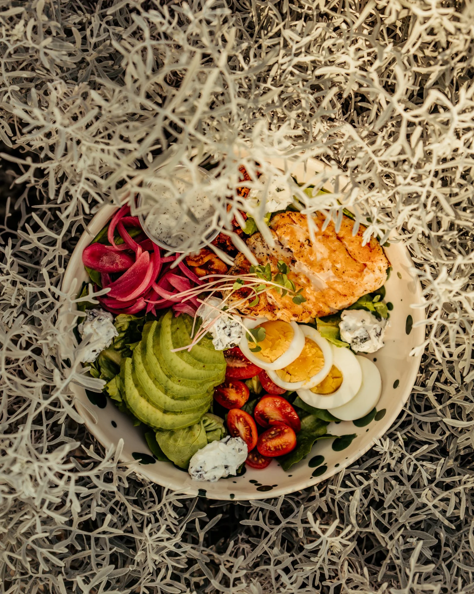 sony awards portraits-267.JPG