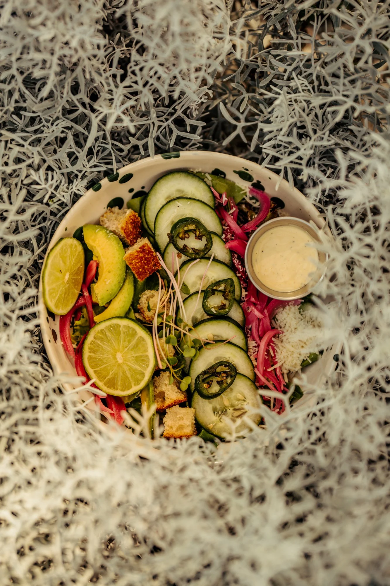 sony awards portraits-268.JPG