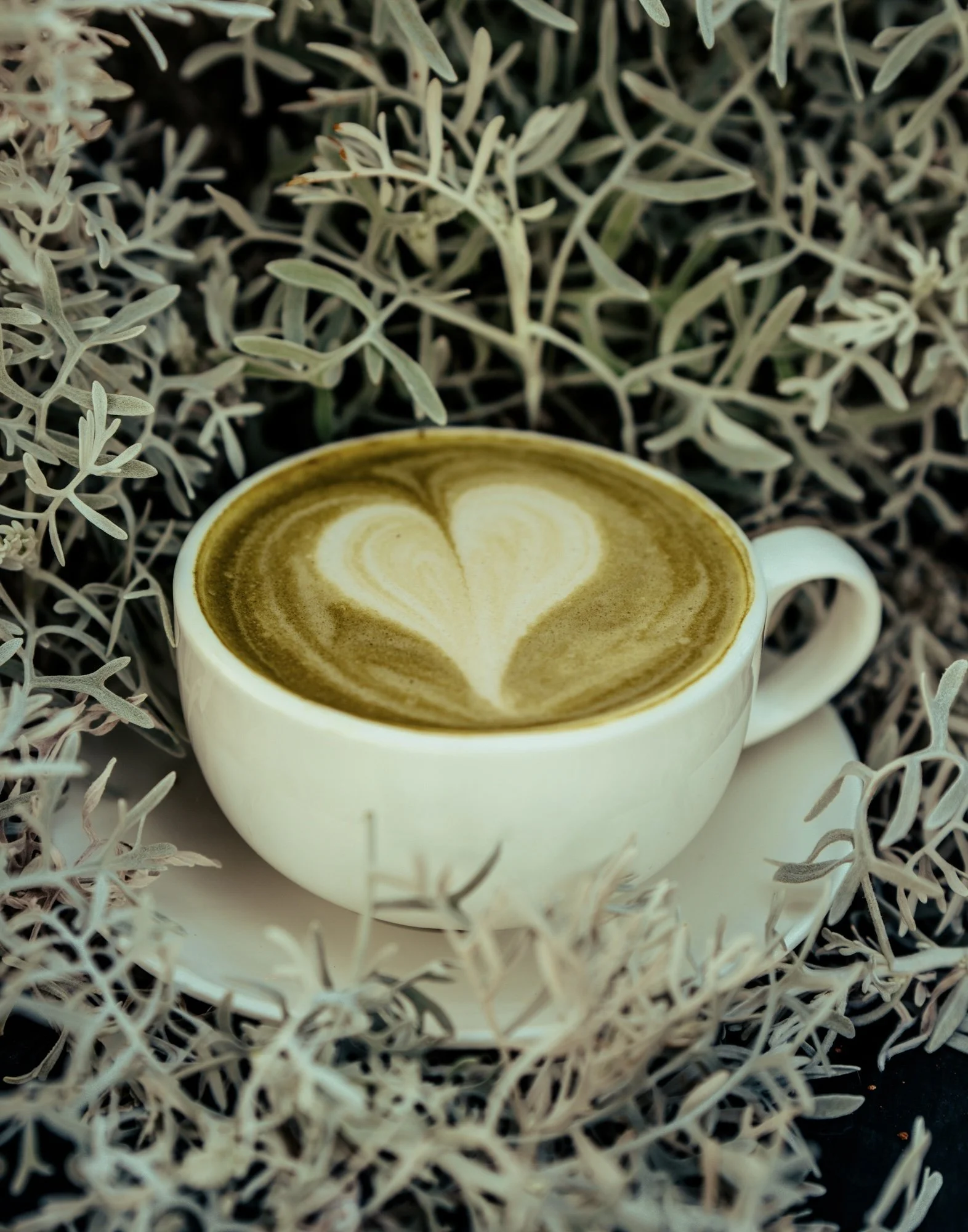 sony awards portraits-264.jpg