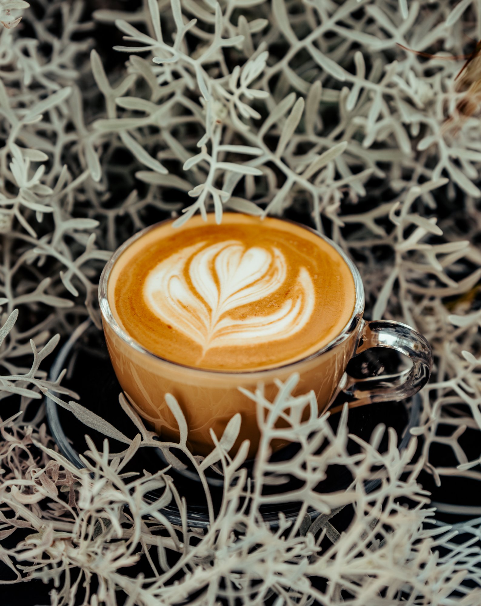 sony awards portraits-260.JPG