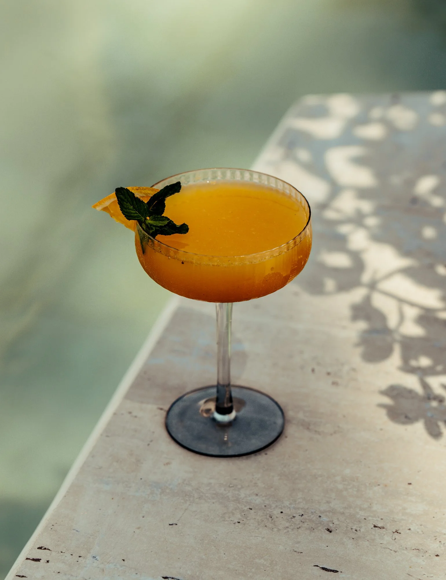 sony awards portraits-244.JPG