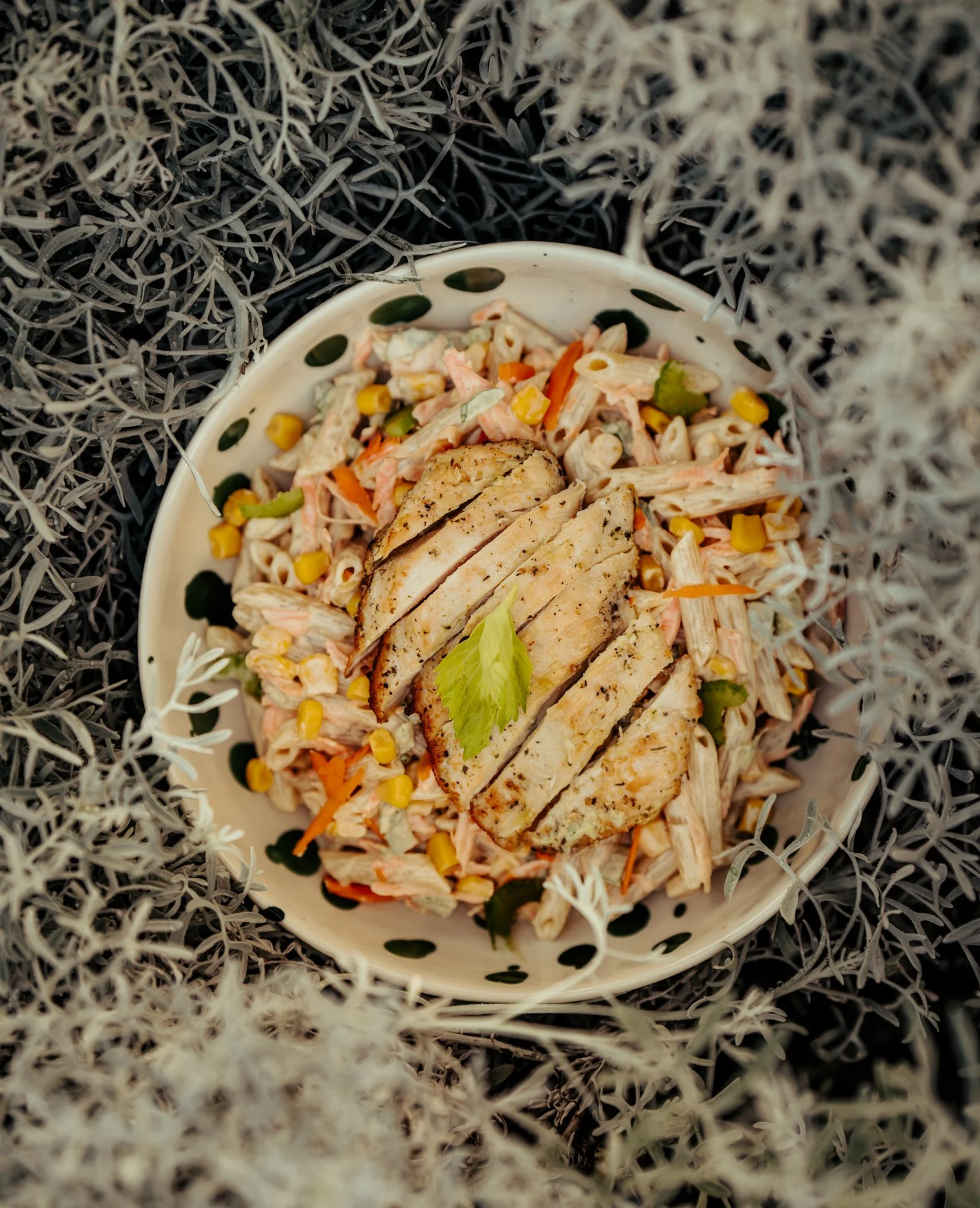 sony awards portraits-284.JPG