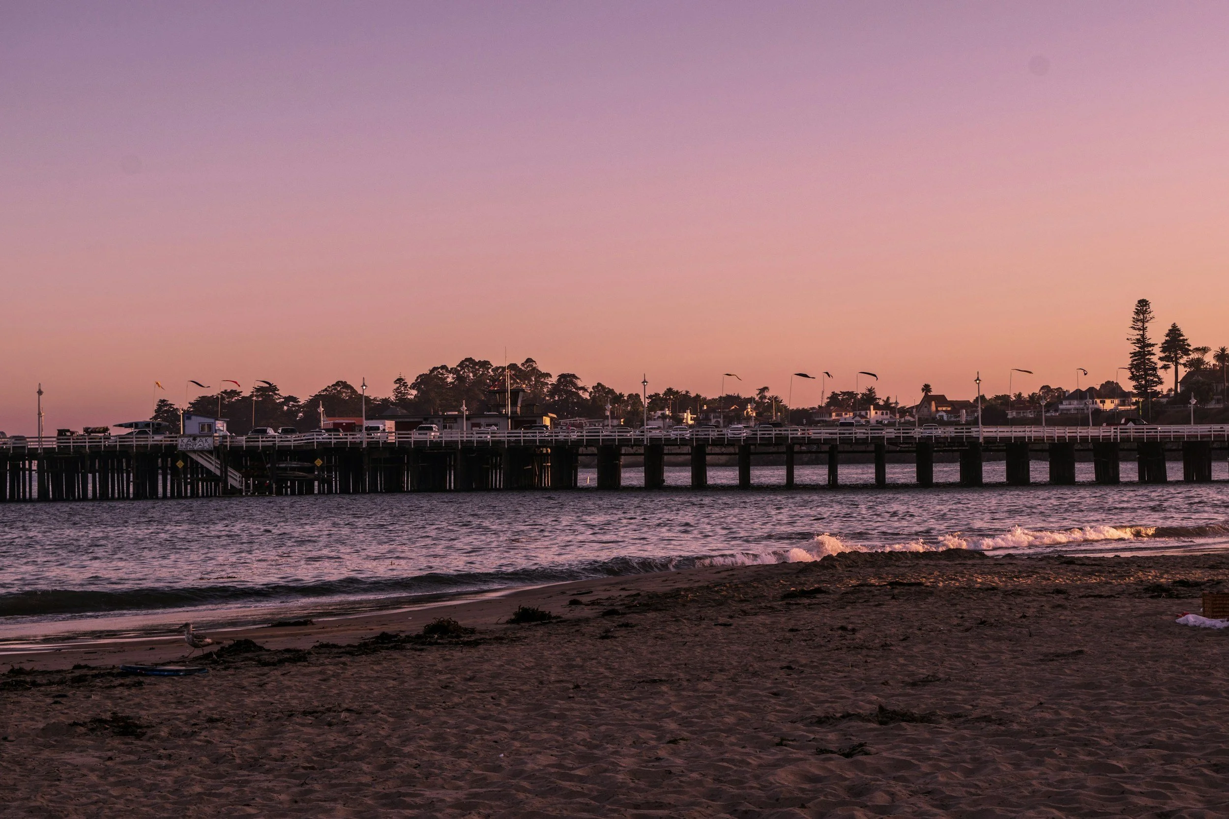 Santa Cruz Boardwalk