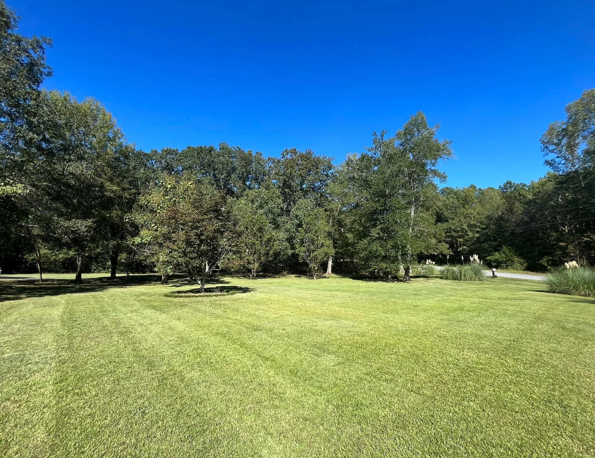 Gallery — Lee Land Management, LLC