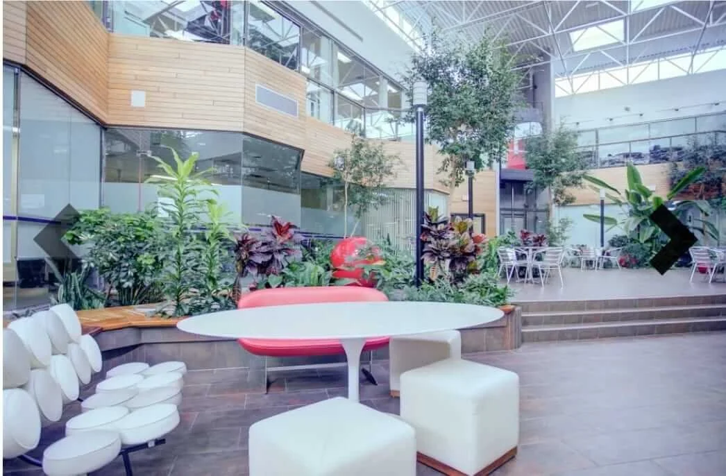 Temperature controlled atrium with seating at Embark Psychology Calgary clinic