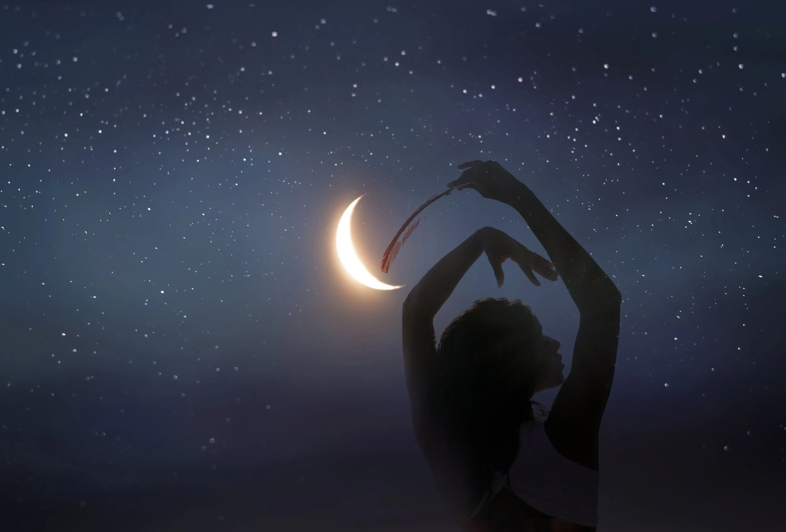 Moonlight as Medicine&nbsp;