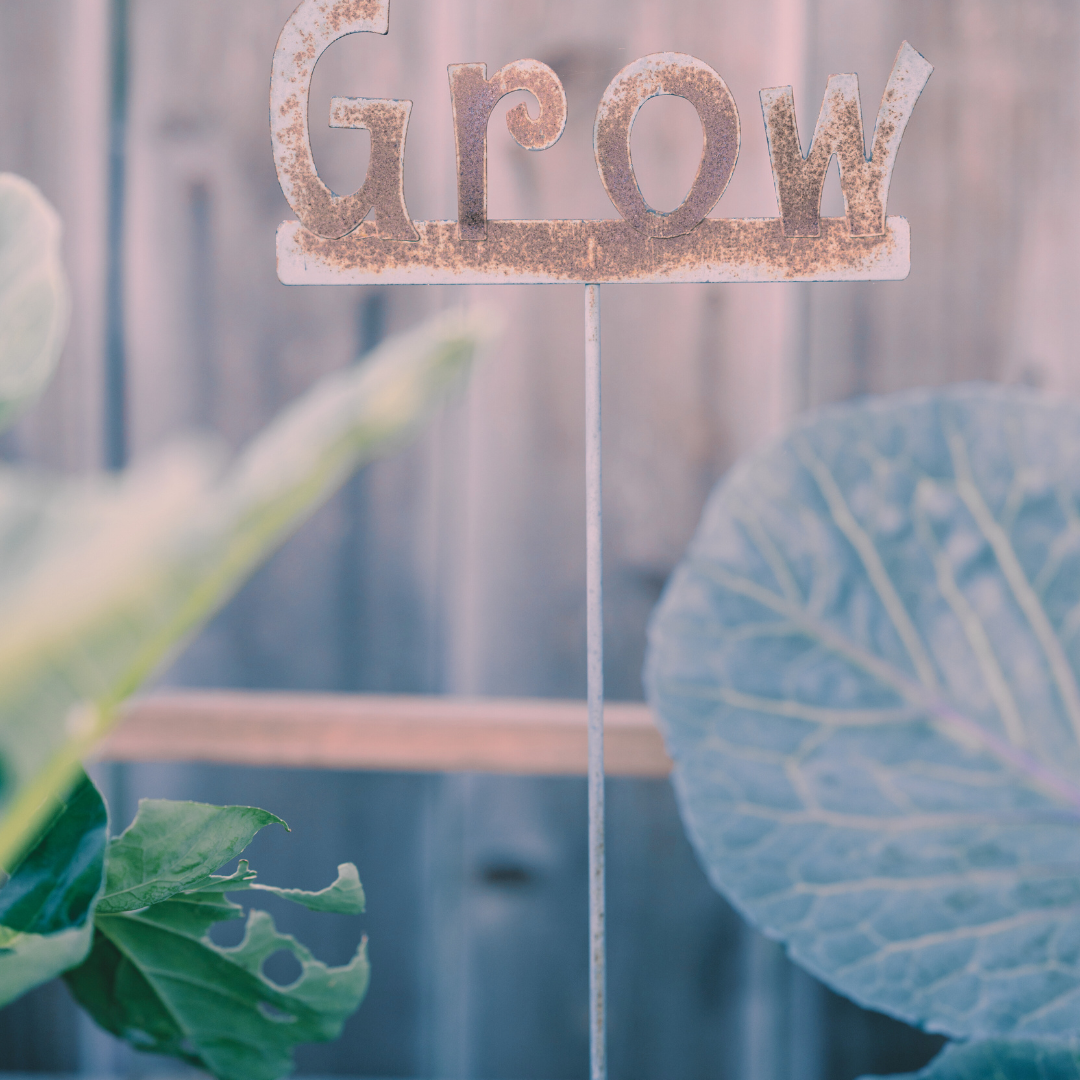 Rusty metal sign spelling 'GROW' on a stick, surrounded by large green and blue leaves.