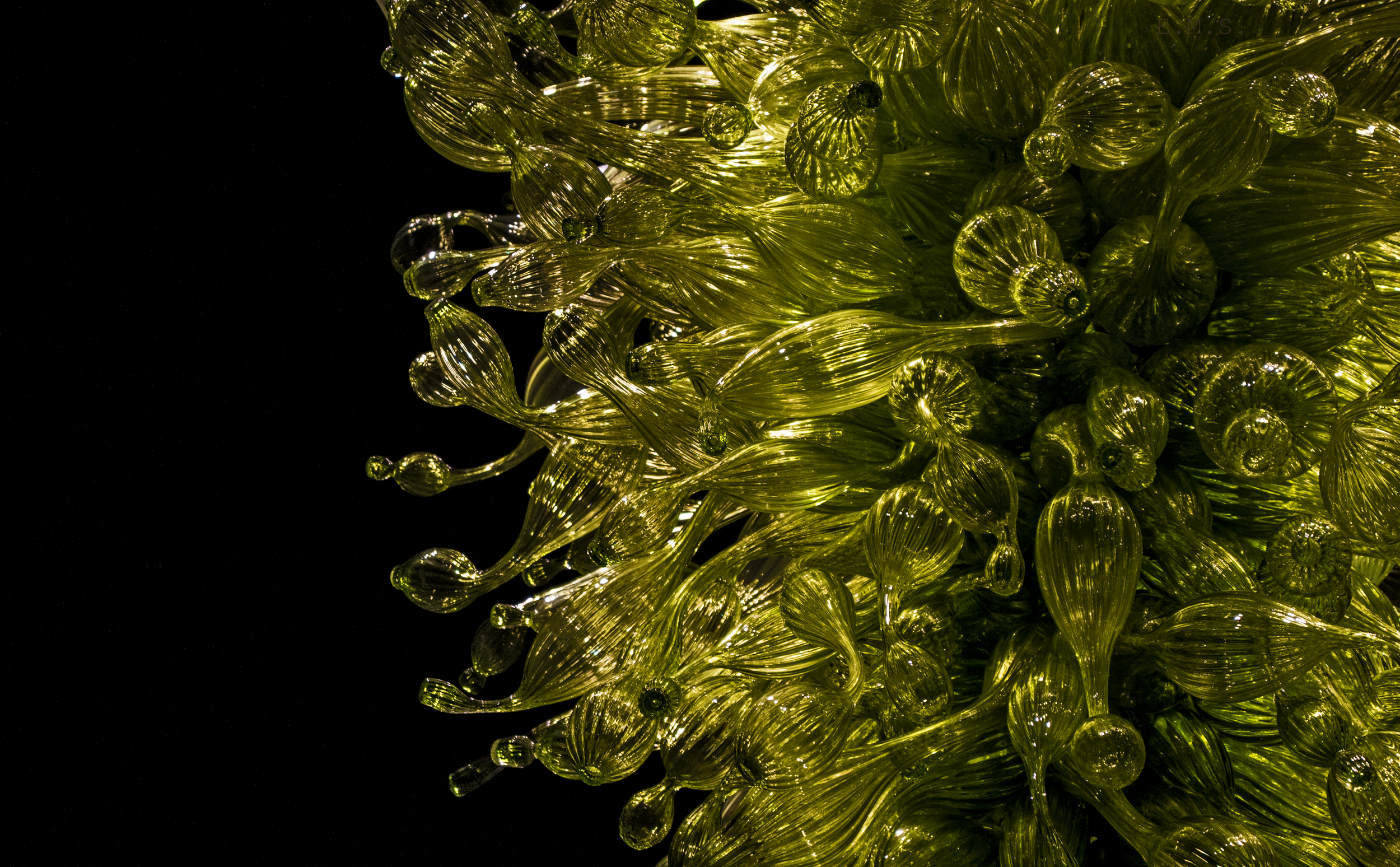 decorative glass photography, green glass