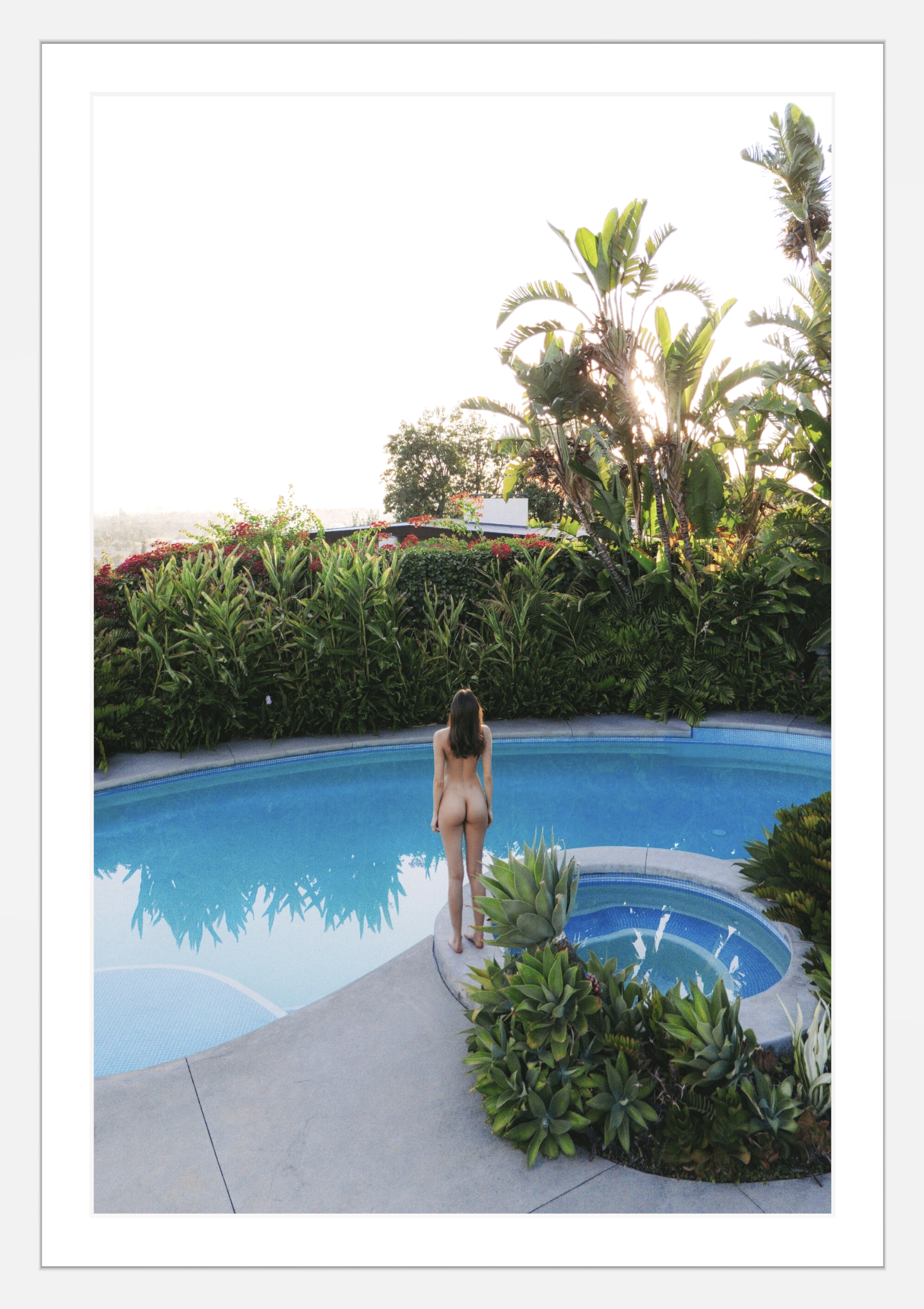Paradise Pool - White Frame.png