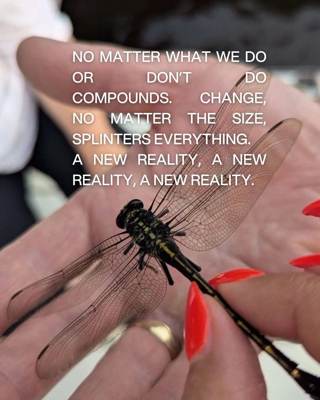 one degree changes everything.
⠀⠀⠀⠀⠀⠀⠀⠀⠀
chaos theory gets a bad rap
but it&rsquo;s not about disorder
it&rsquo;s about sensitivity
⠀⠀⠀⠀⠀⠀⠀⠀⠀
small inputs
big consequences
lives shaped quietly
sometimes massively
⠀⠀⠀⠀⠀⠀⠀⠀⠀
do we pay attention to the 