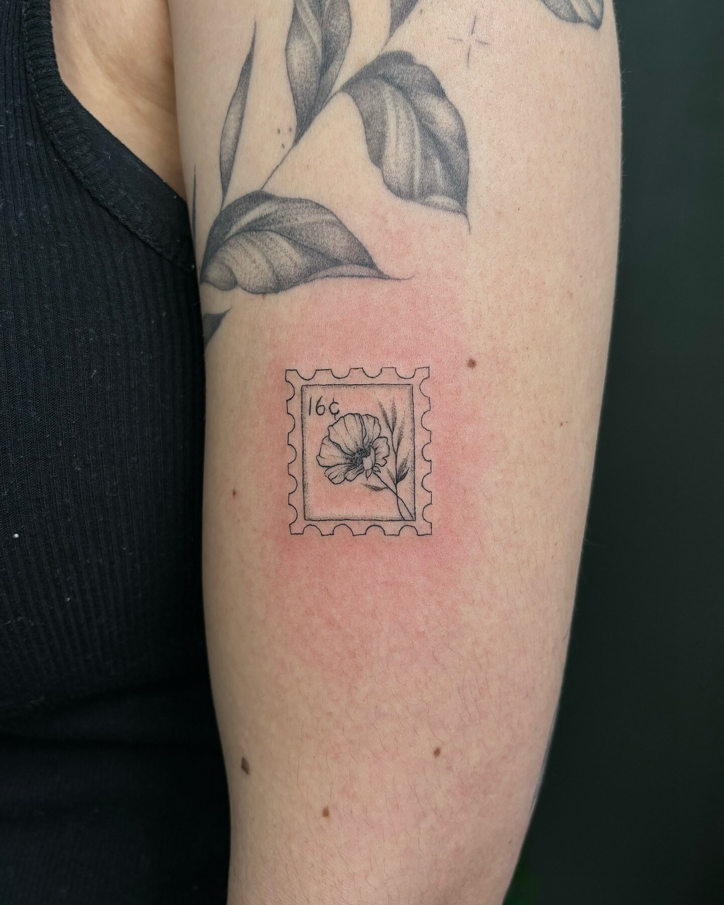 Lemuette | Pine Needles Rubber Stamp