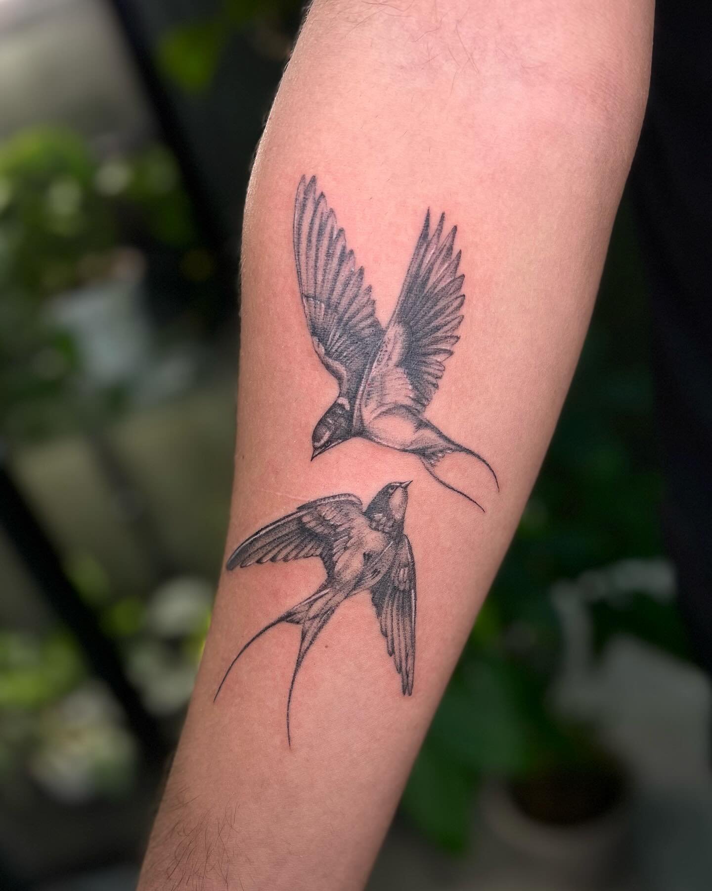 this was for Leo&rsquo;s first tattoo🕊️ thank you for the trust! 

Now booking for July-August. Use the link in my bio to my website to find out how to book🖤 You can email me to talk about your ideas: chevellestattoos@gmail.com
Chevelletattoos.com 
