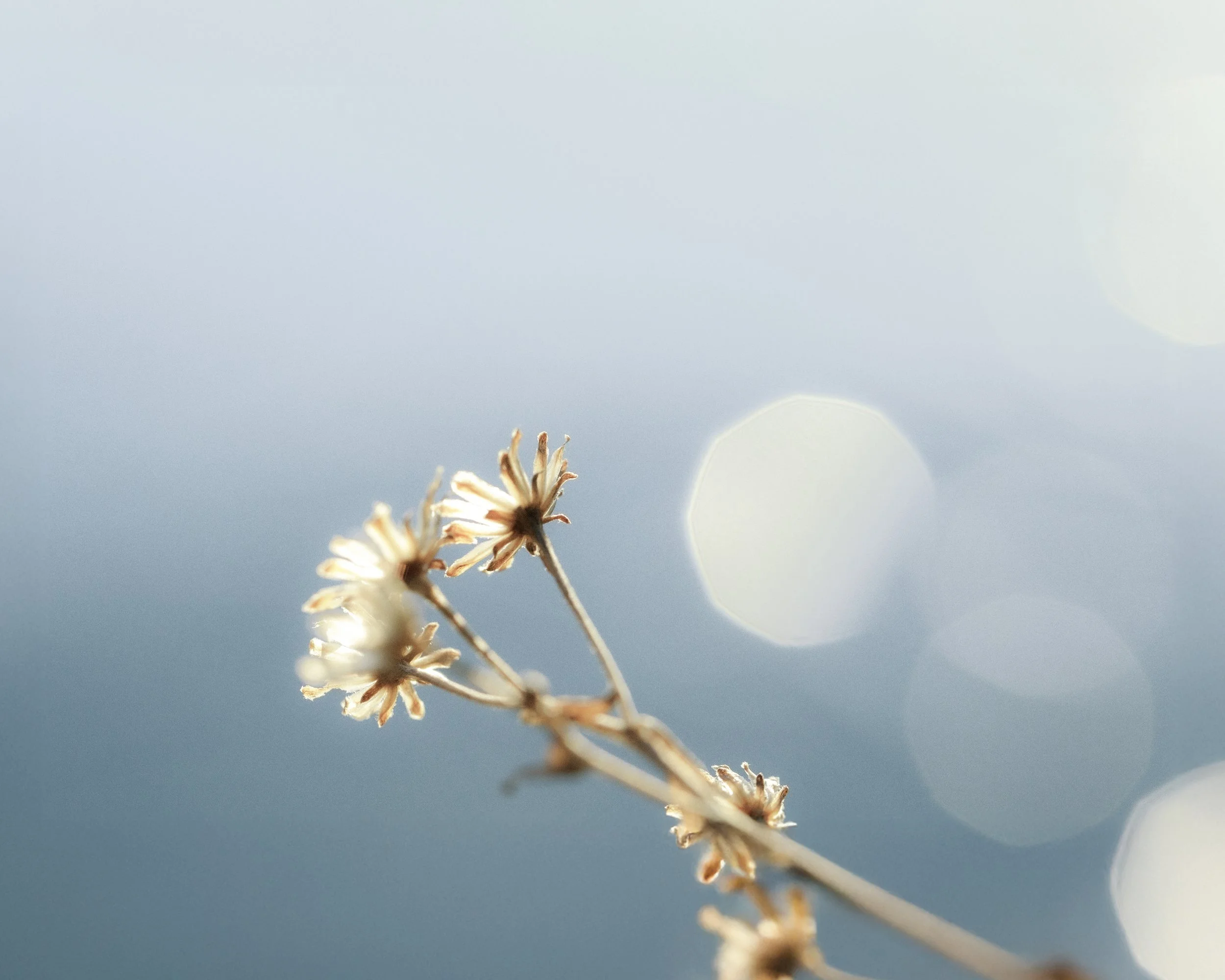 価格改定のお知らせ