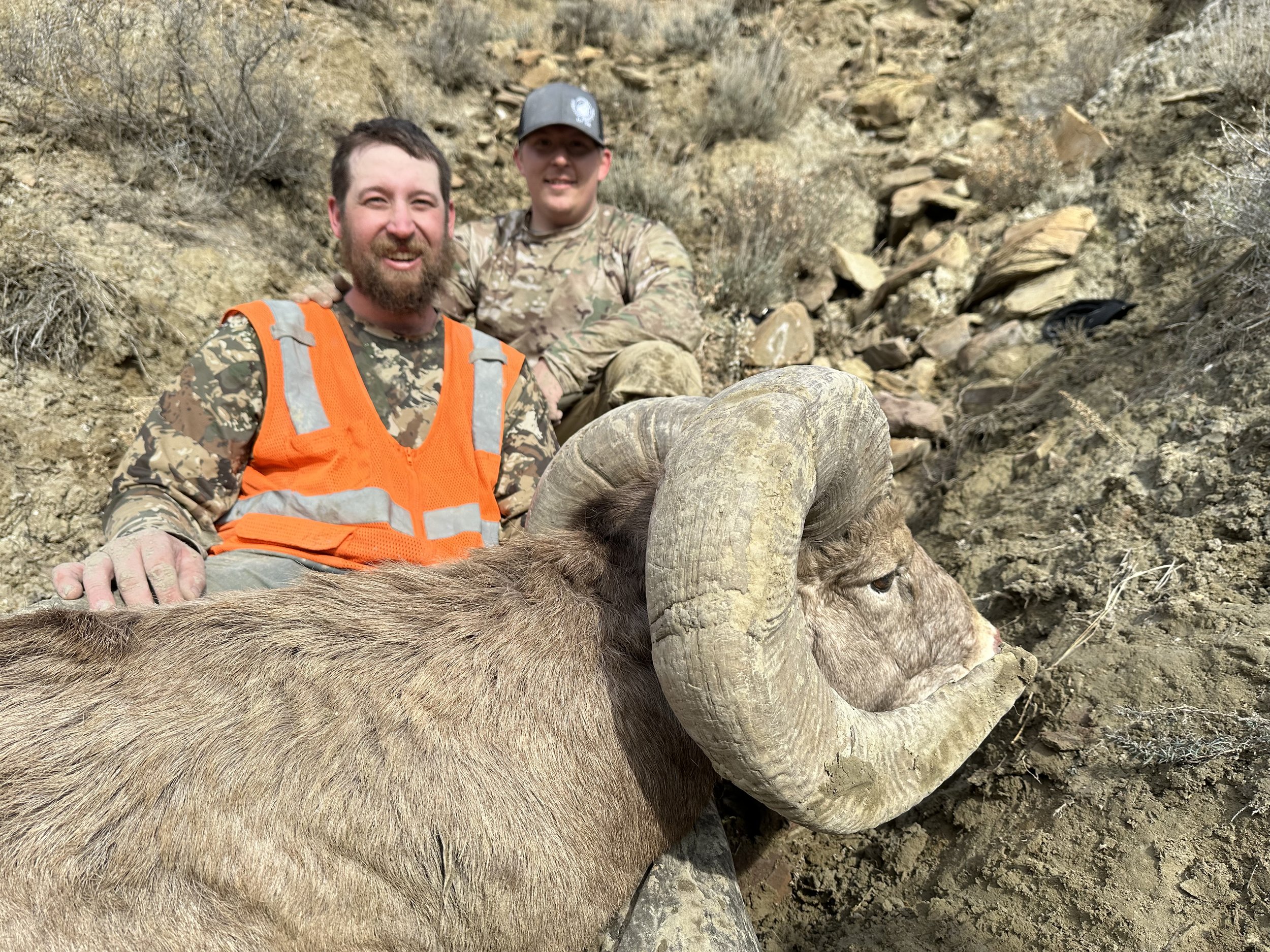 Tyrel and his Dad Bighorn Sheep Montana — Home