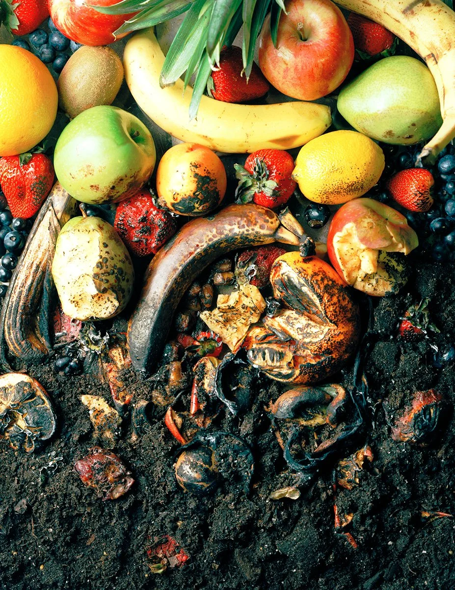 FruitBurnt1B small.jpg