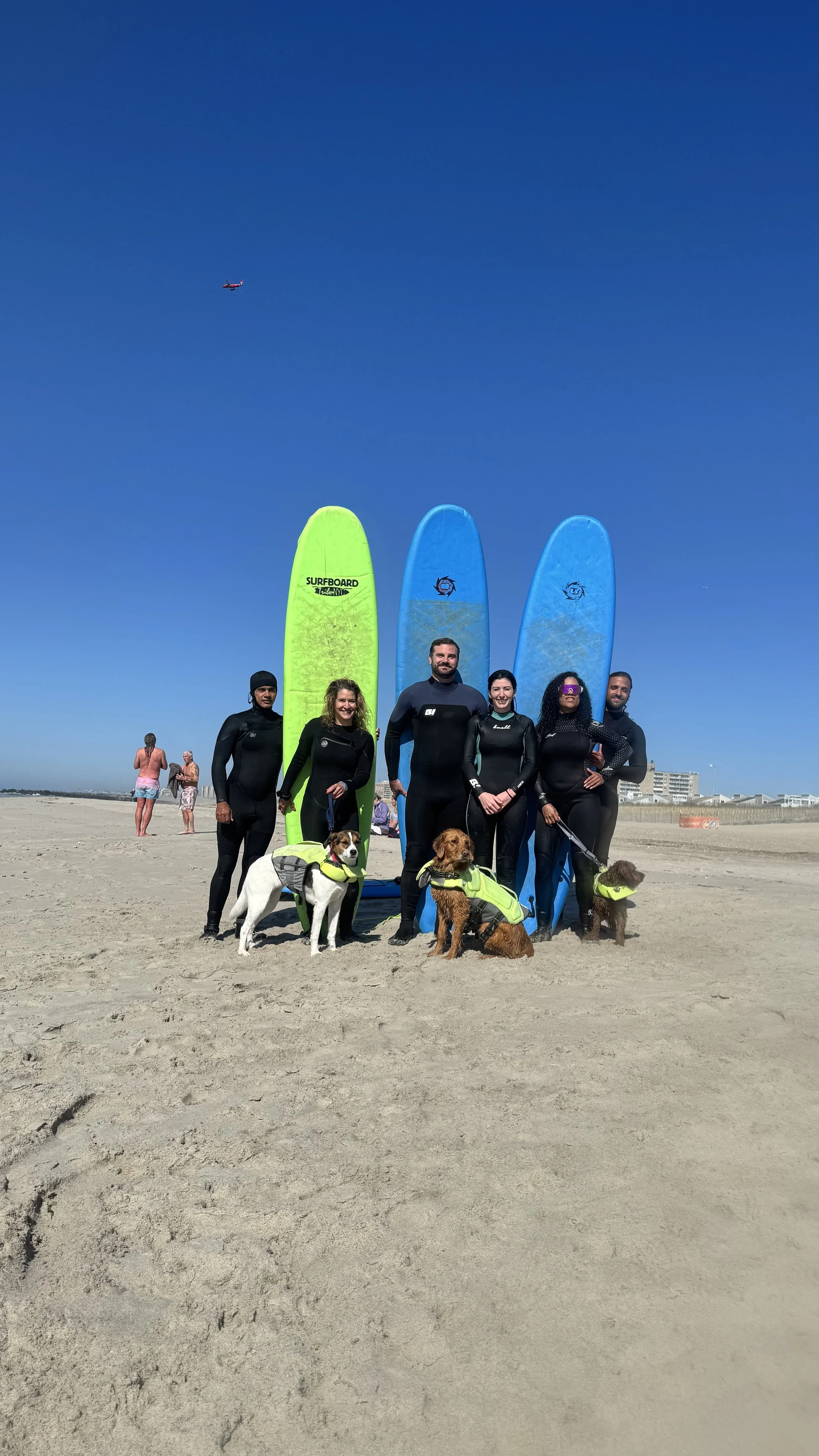 Learn to Surf with Your Dog
