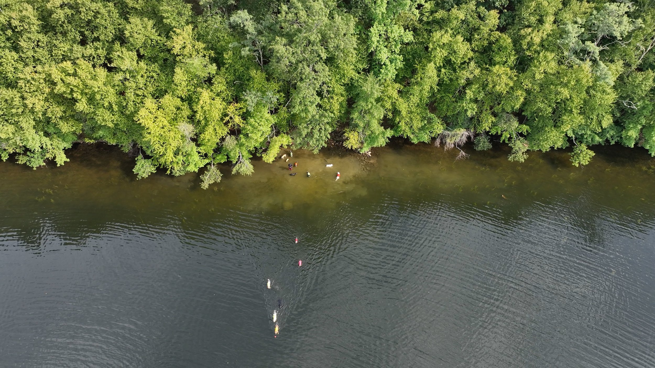 DJI_0259.jpg