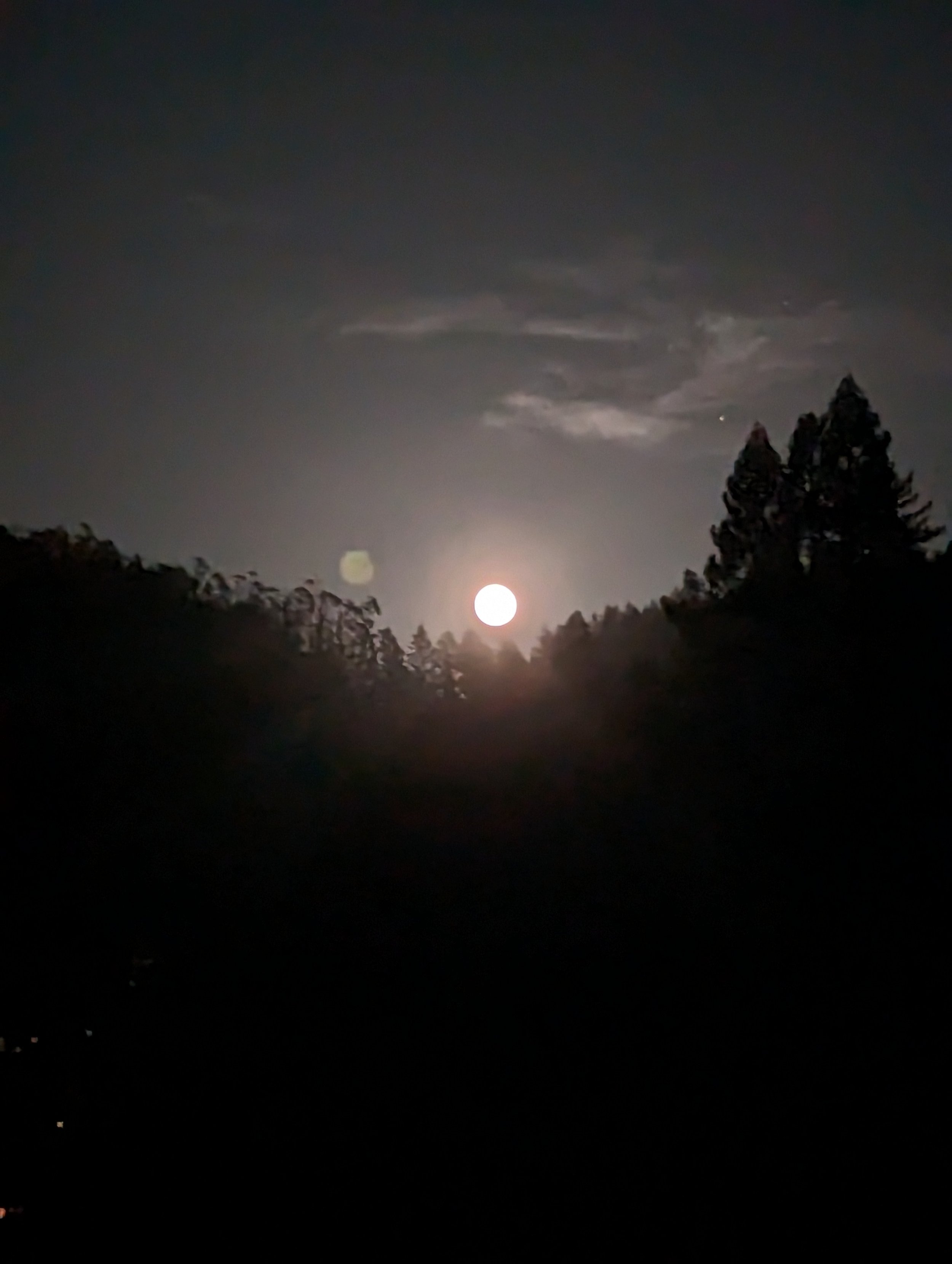 PXL_20230604_044841219.jpg