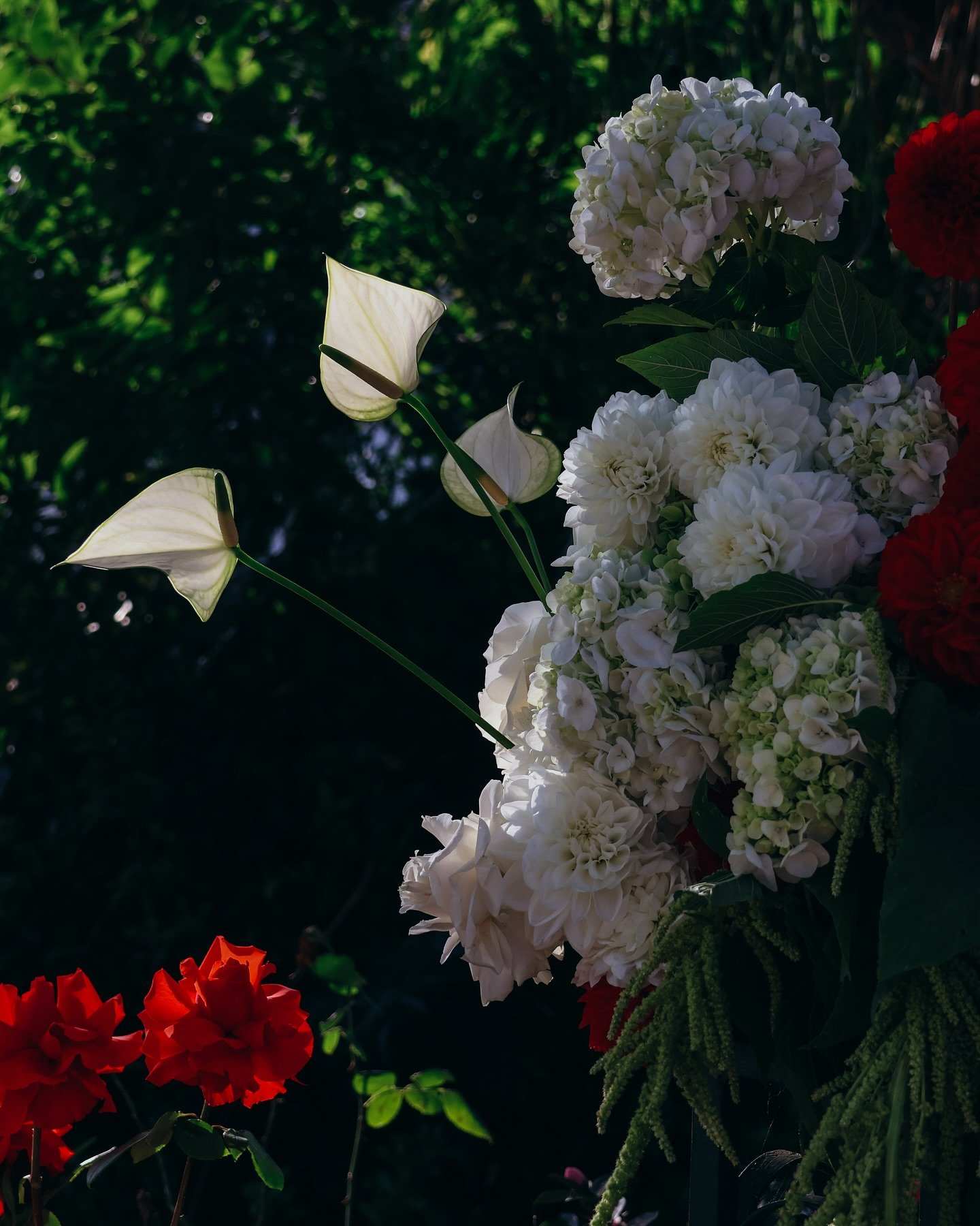let the light in 

{for Caitlin &amp; Liam}

#flowerlover #flowermagic #blooms