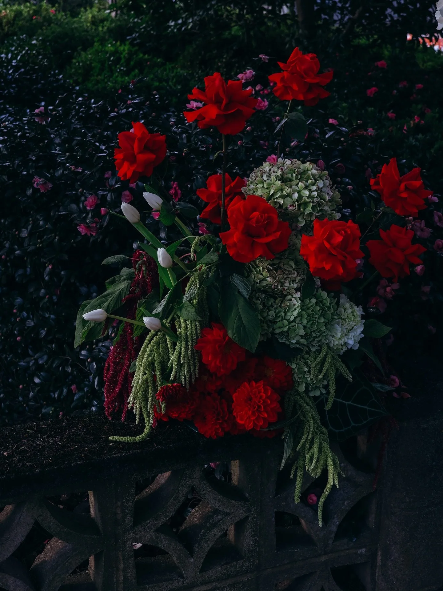 scenes 

{hydrangea, tulips, amaranth,nina) 

#flowerlover #ninarose #red