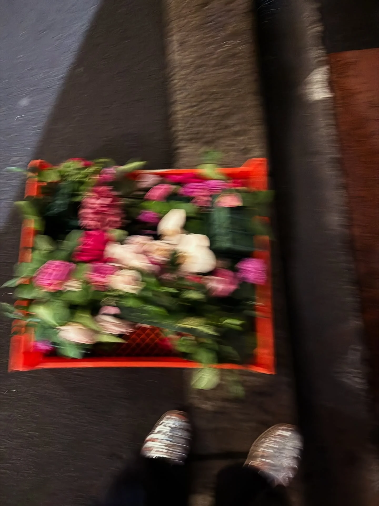 motion sickness

{the end of the night} 

#flowers