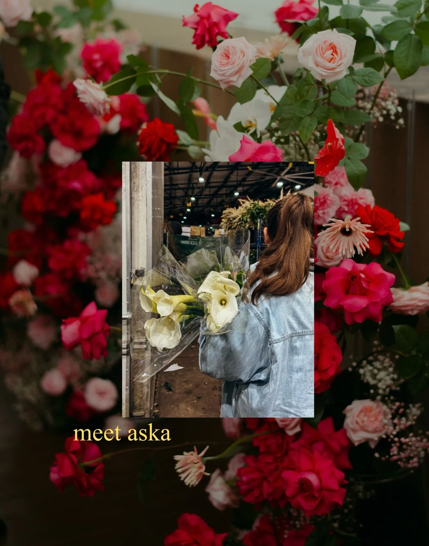 {a little about me} 

Goodness, it&rsquo;s intimidating to share.

But part of this evolution is sharing who I am, so you can trust me with what you&rsquo;re building. So here&rsquo;s a few, loosely important details. 

Hi, I&rsquo;m Ash. Aska means 