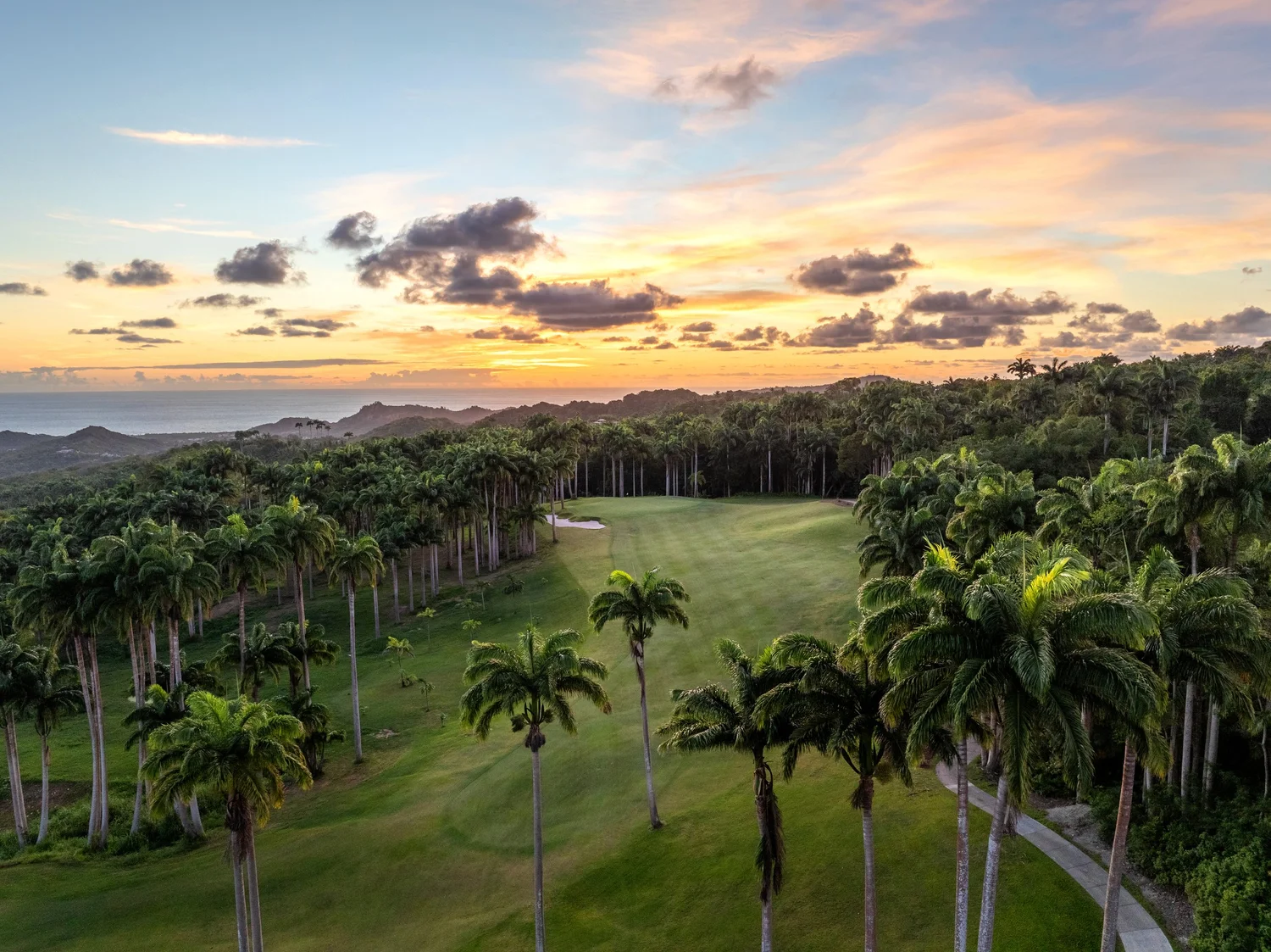 Palm-lined fairway at sunset