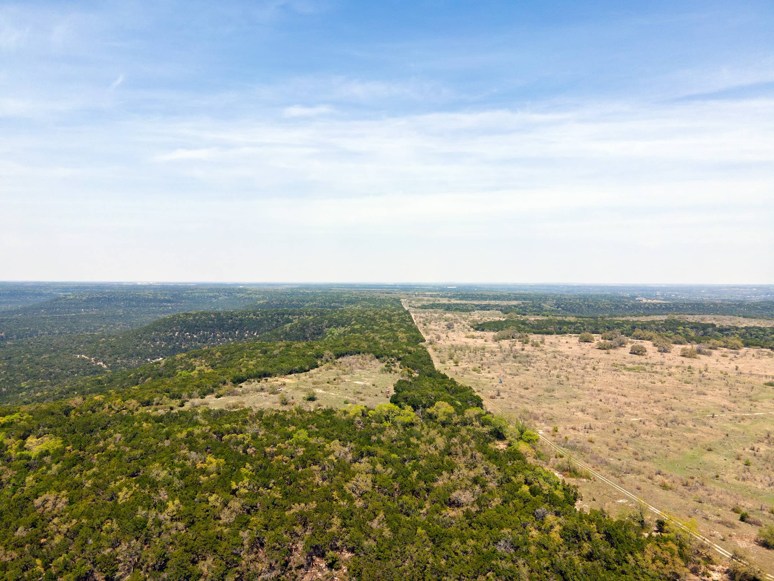 A vast landscape view showing a mixture of dense green forests and open plains under a bright blue sky with some wispy clouds.