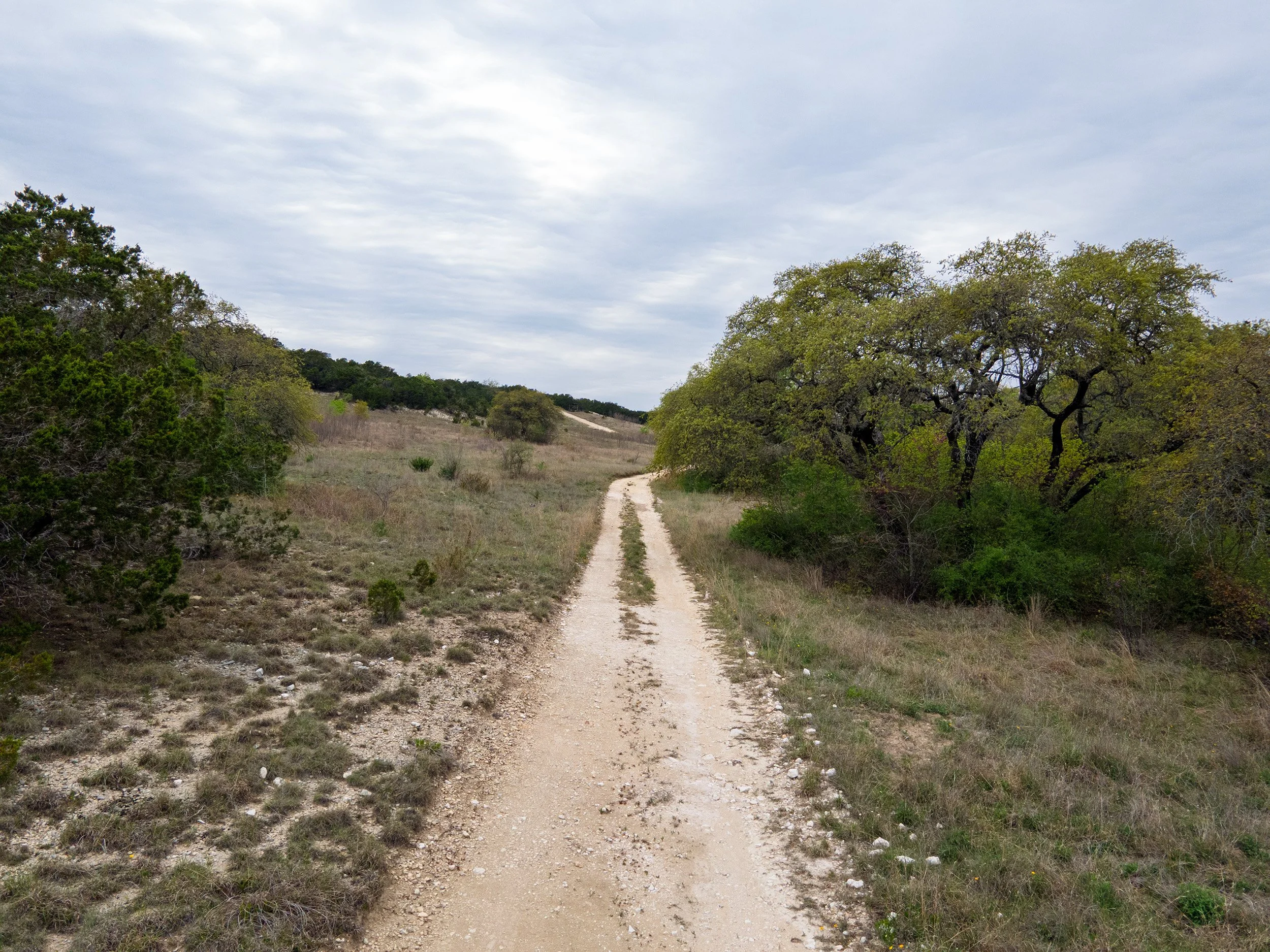 A dirt path winds through a grassy area with scattered trees, under a cloudy sky.