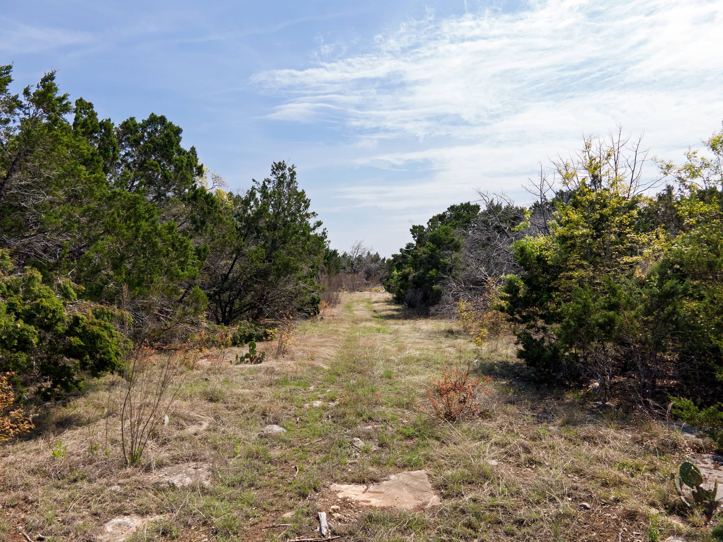 A natural landscape with a dirt path surrounded by green bushes and trees, leading towards a partly cloudy sky.