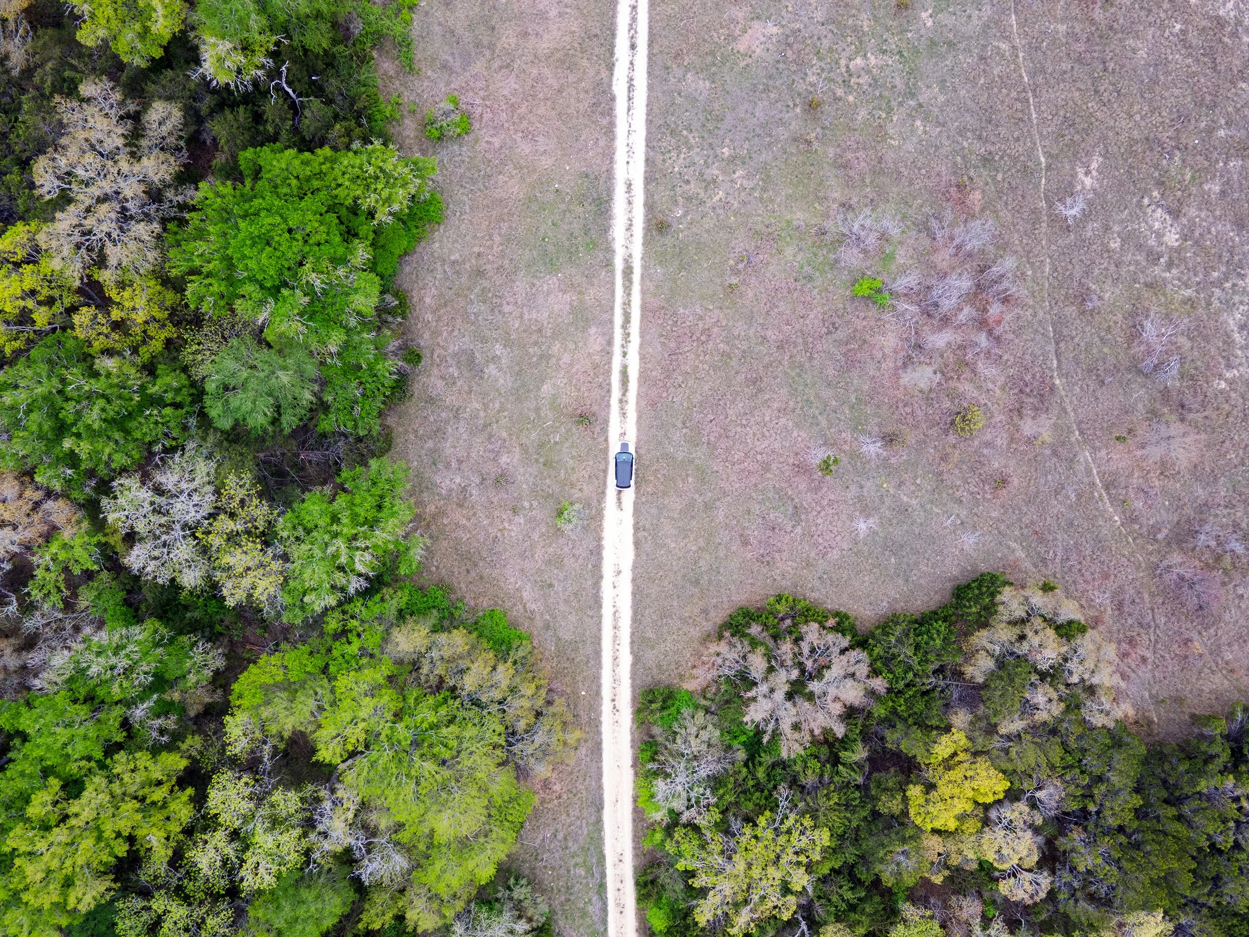 An aerial view of a forest on the left and a dry clearing on the right, with a single vehicle driving on a dirt path dividing the two areas.