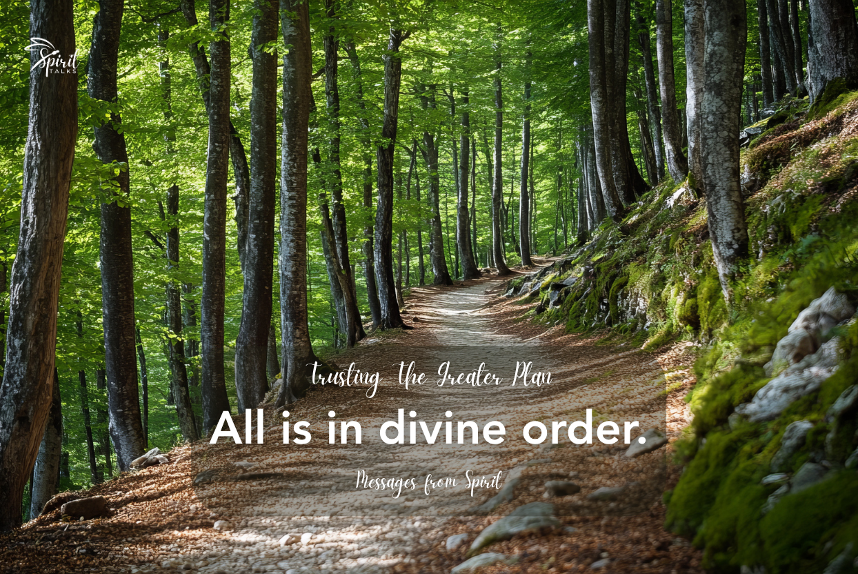 38. Trusting The Greater Plan
