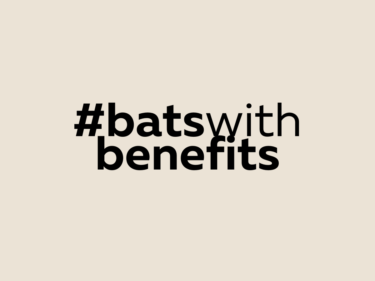 #batswithbenefits: Social Media Campaign