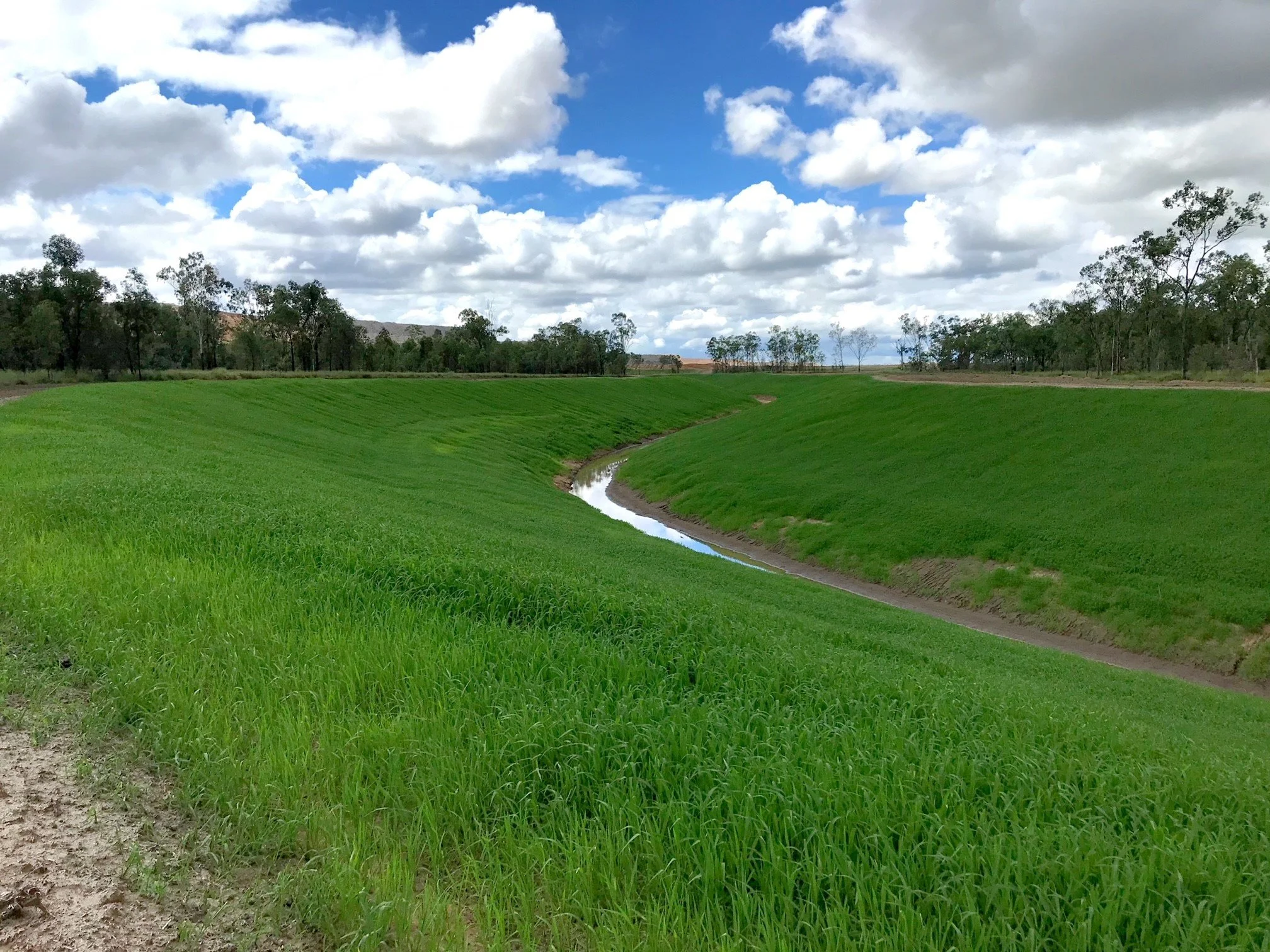 Mining landscape after rehabilitation with green grass growing on side of embankment