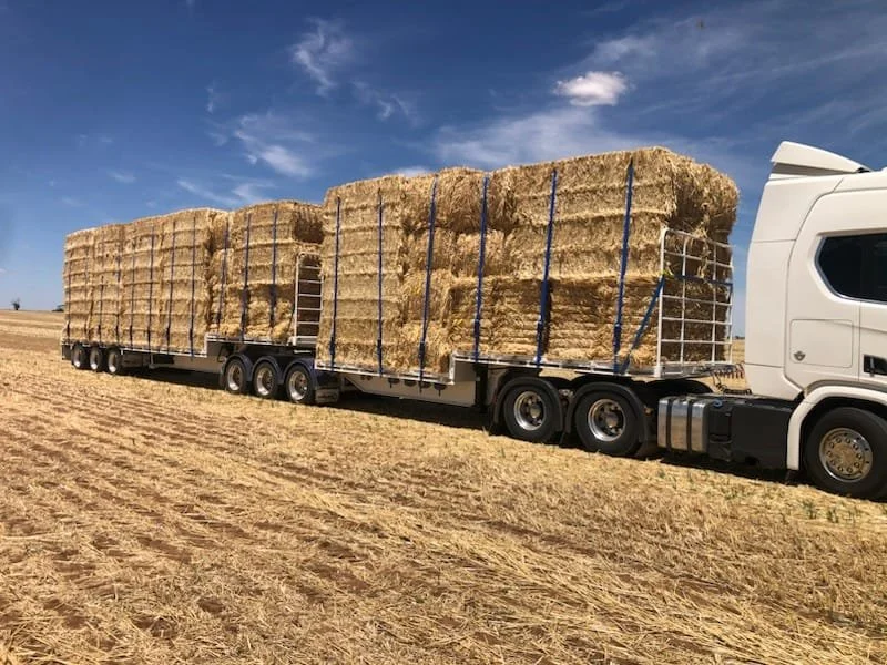 WhatsApp Image 2023-01-30 at 2.26.47 PM (2).jpeg