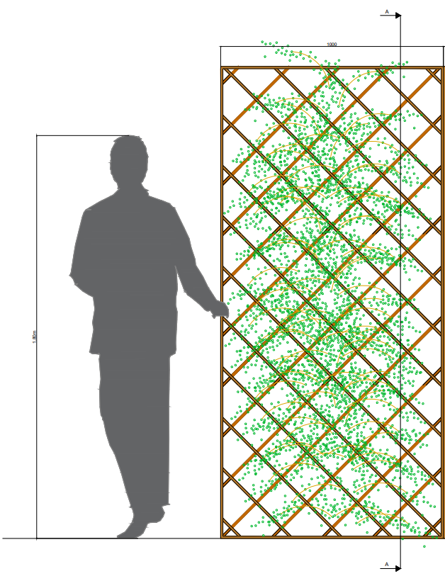 Diagonal Trellis