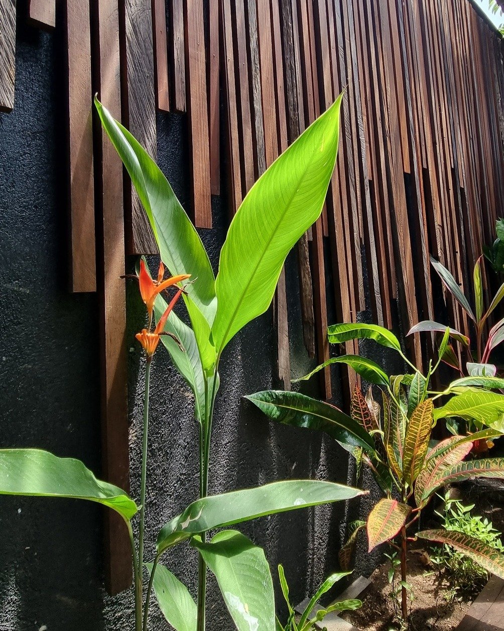 Say goodbye to blank, uninspired walls. 👋🌿

We took what was once a boring wall and turned it into a striking architectural feature by adding this custom reclaimed wood paneling.

As you can see, the goal wasn't just to cover the wall, but to enhan