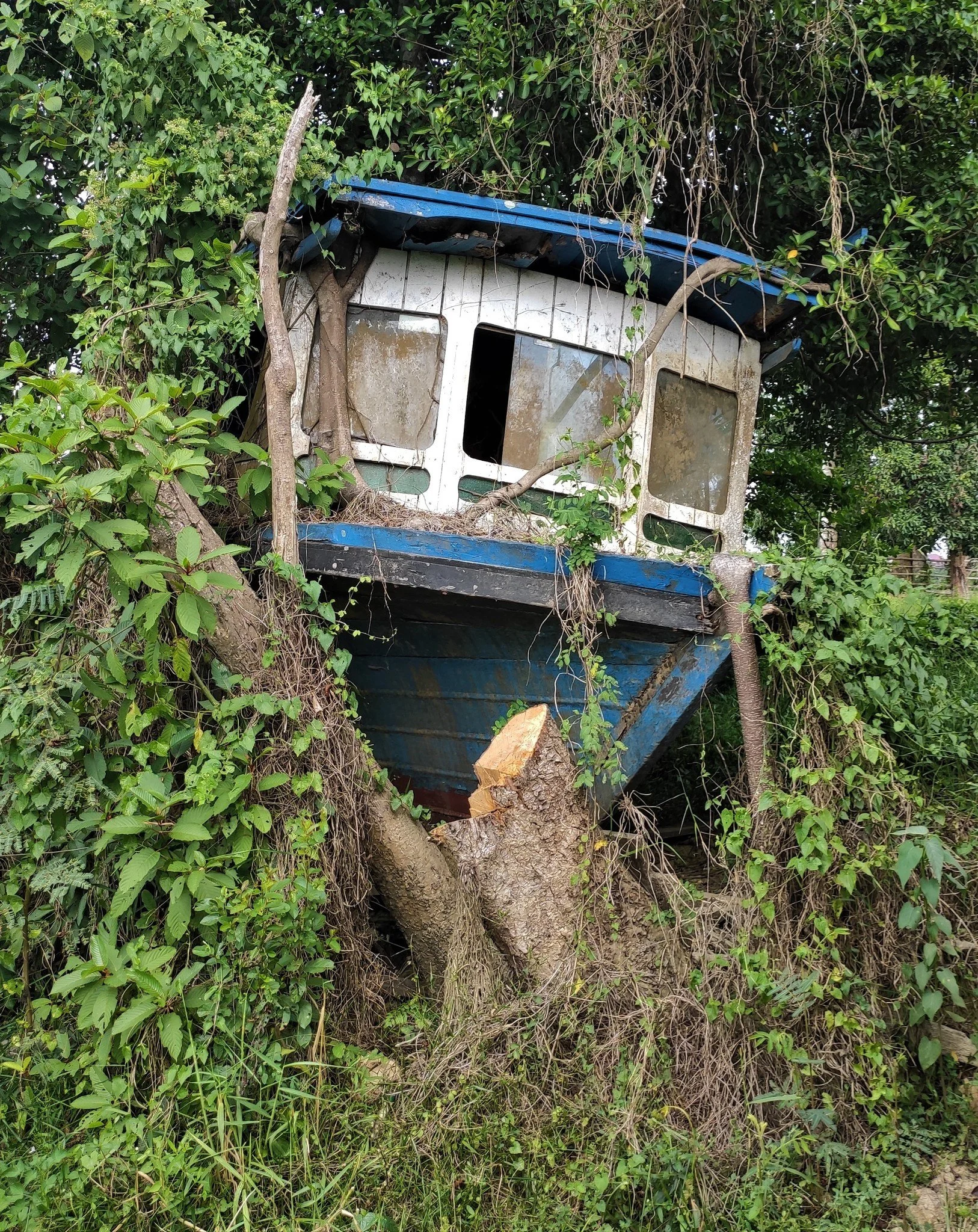 𝐖𝐞 𝐝𝐨𝐧&rsquo;𝐭 𝐣𝐮𝐬𝐭 𝐬𝐨𝐮𝐫𝐜𝐞 𝐭𝐢𝐦𝐛𝐞𝐫. 𝐖𝐞 𝐡𝐮𝐧𝐭 𝐟𝐨𝐫 𝐬𝐭𝐨𝐫𝐢𝐞𝐬

Swipe through to see our latest expedition deep in East Kalimantan.

While others look for easy cuts in the forest, we look to the Mahakam River. These aren