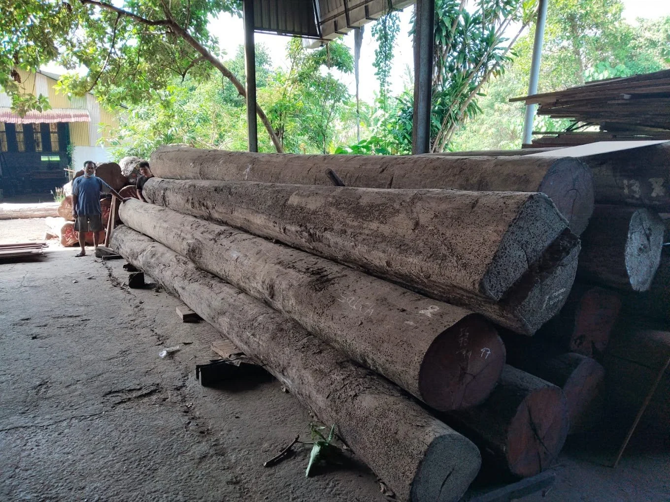 Large old reclaimed Ulin ironwood logs available for structural and architectural projects