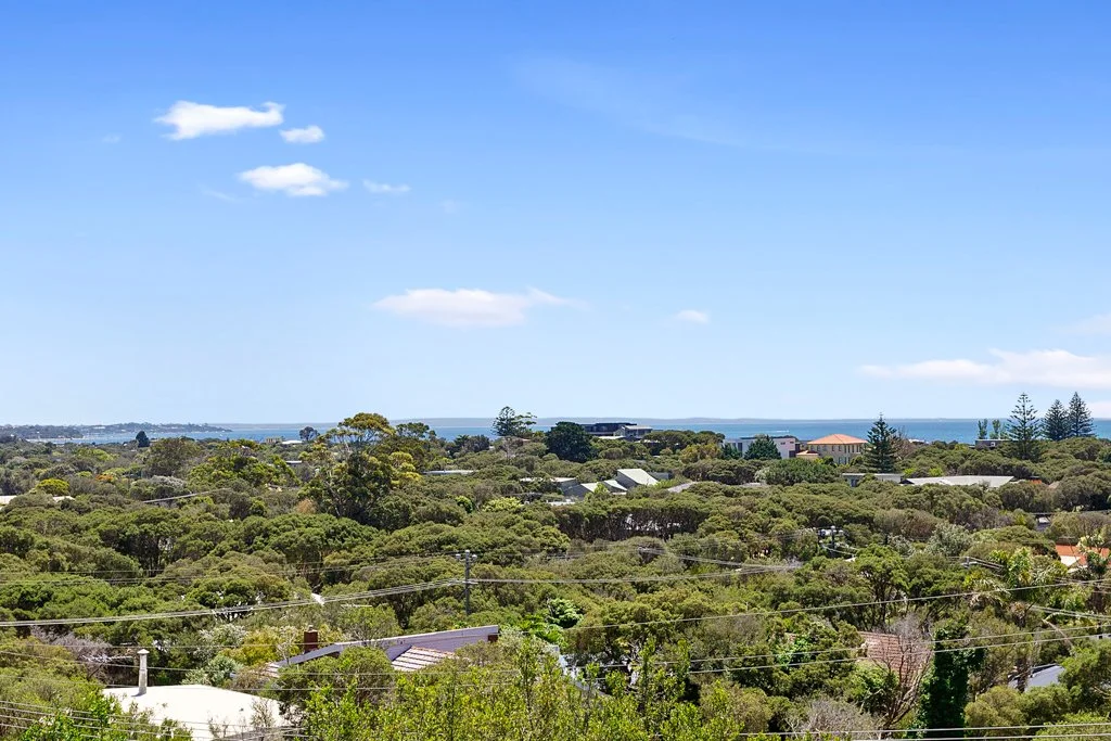 27 Alexander WEB-33.jpg