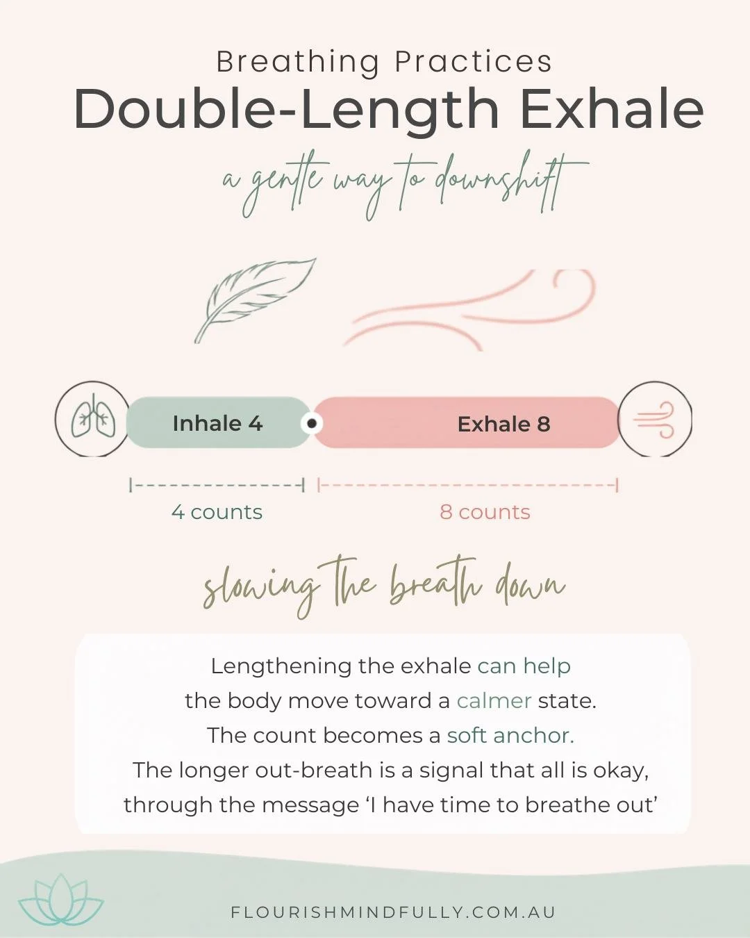 Double-Length Exhale 🍃🧘&zwj;♀️

The breath happens on its own &mdash; and yet we can gently shift the pattern.
This is one of the simplest breath practices I learned through yoga, long before becoming a therapist.

🫁 The inhale is more connected w