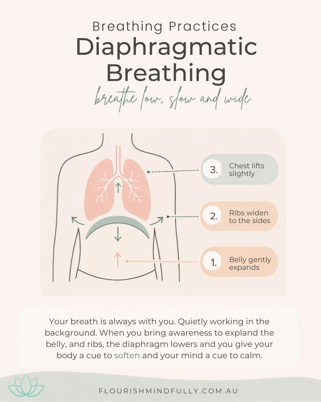 Diaphragmatic Breathing 🌾🫁

Your breath is always with you - and when you slow down enough to notice it, you may discover there is more space available than you realised.

Diaphragmatic breathing is also called belly breathing, abdominal breathing,