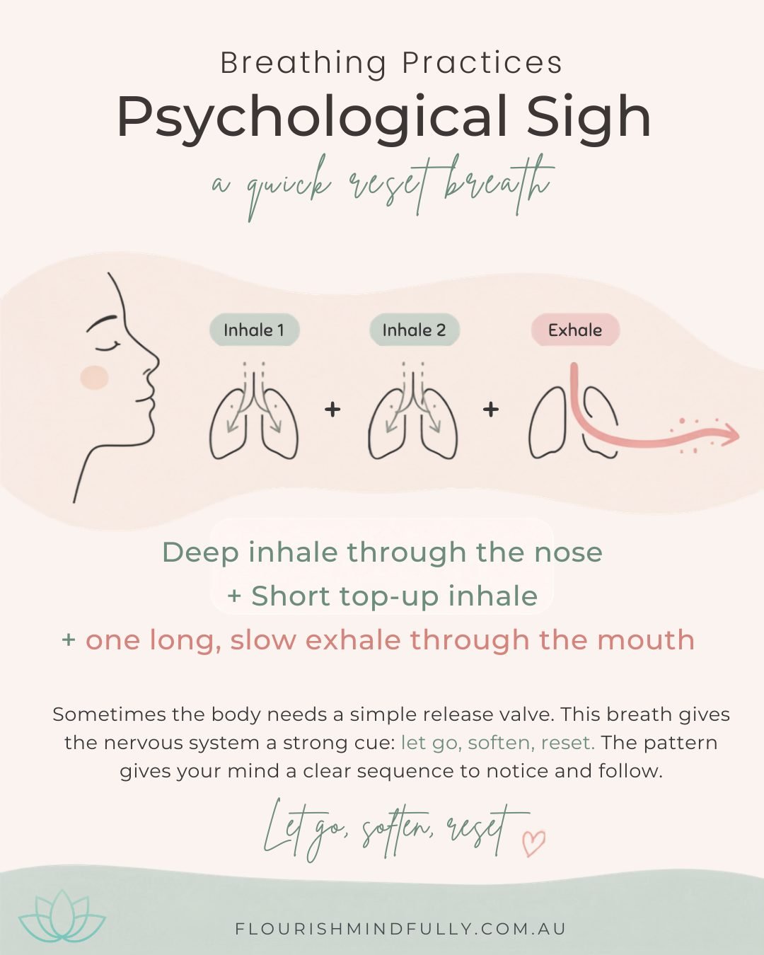 Psychological Sigh Breath 🌬️🤍

Sometimes the body doesn&rsquo;t need a lecture. It needs a sigh.

The breath is automatic, but it is also one of the few body processes we can consciously change - and the psychological sigh is a beautiful example of